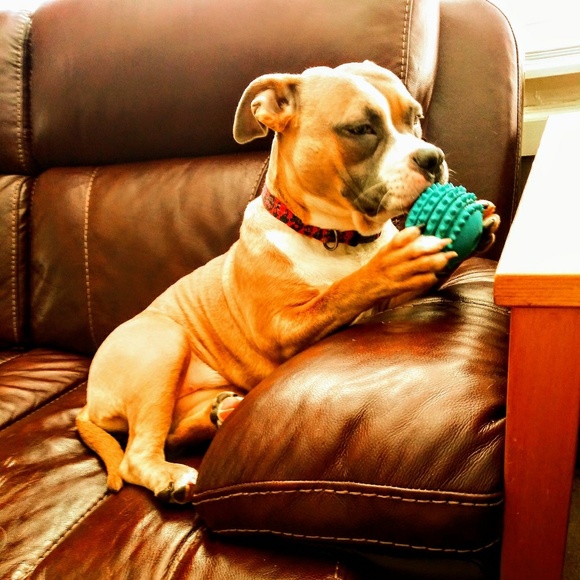 ๐Posh Ambassador Det.KT Closet ๐ - Picture 4 of 5